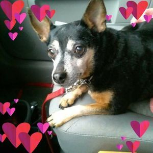 Meet your Posher, Deborah